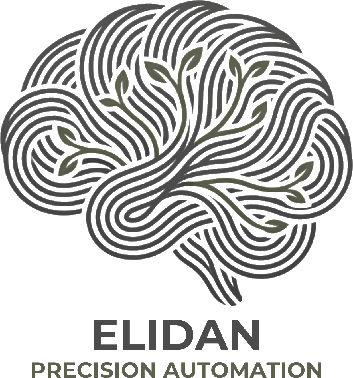 Elidan Automation